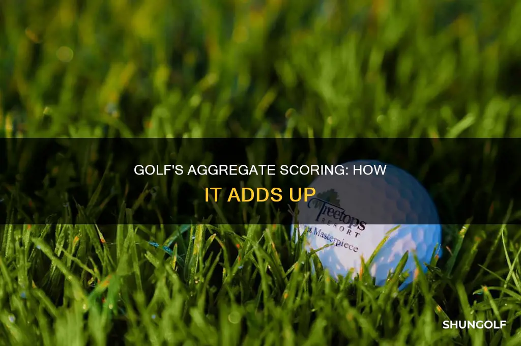 what is aggregate score golf
