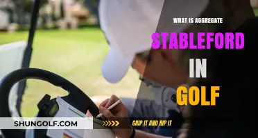 Understanding Golf's Aggregate Stableford Scoring System