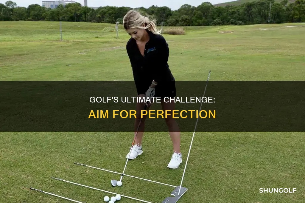 what is aim golf