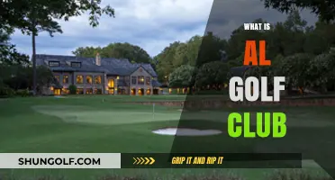 Understanding the Al Golf Club: Features, Benefits, and Membership Guide
