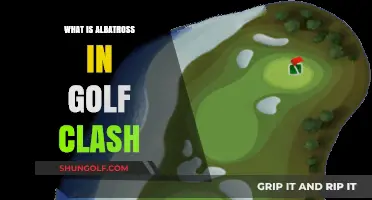 Albatross in Golf Clash: The Rare Feat