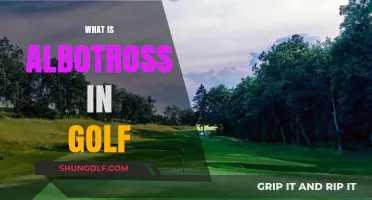 Albatross in Golf: A Rare Birdie