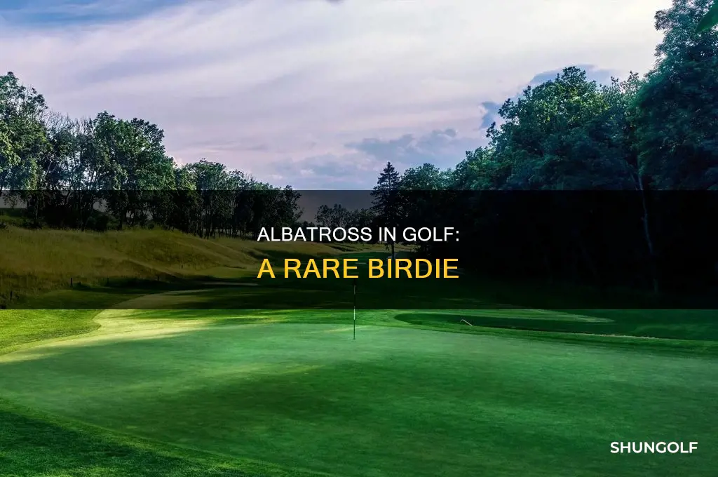 what is albotross in golf