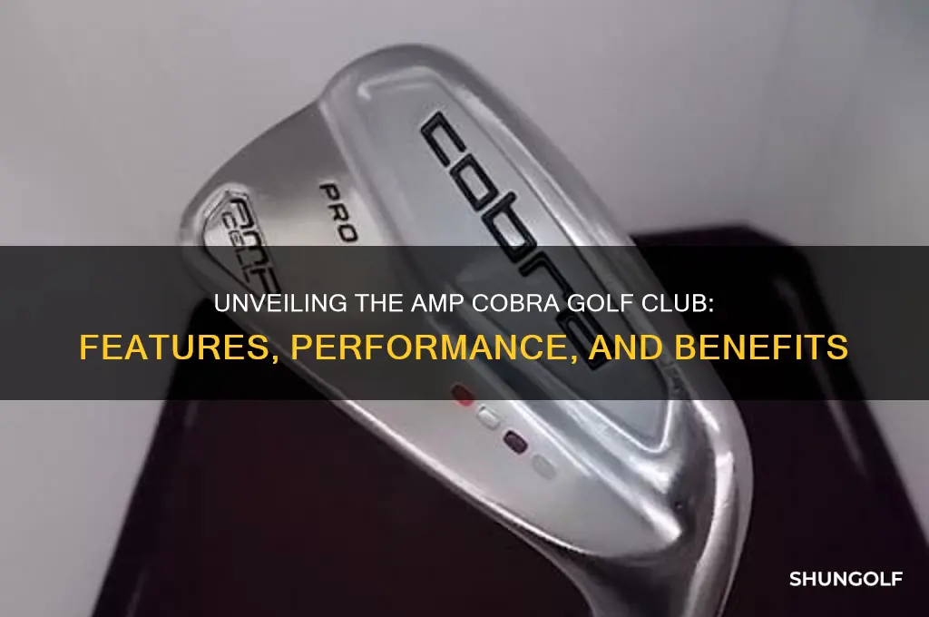 what is amp cobra golf club