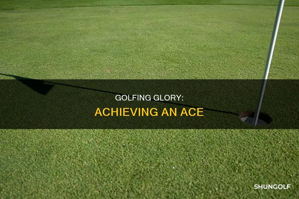 what is an ace golf