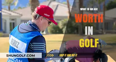 Understanding the Ace: Golf's Hole-in-One Value Explained