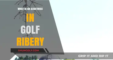 Understanding the Albatross in Golf: A Rare and Impressive Feat