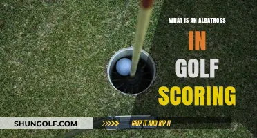 Understanding the Albatross: Golf's Rare Scoring Phenomenon Explained
