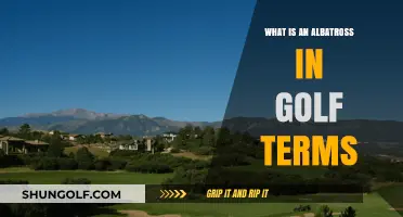 Understanding the Albatross: A Rare Golf Achievement Explained