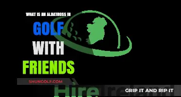 Understanding the Albatross: A Rare Golf Feat in Friendly Matches