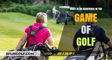 Understanding the Albatross: Golf's Rare and Remarkable Scoring Achievement