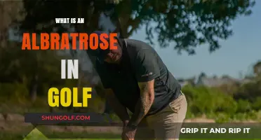 Golf Albatross: Rare Birdie or Eagle?