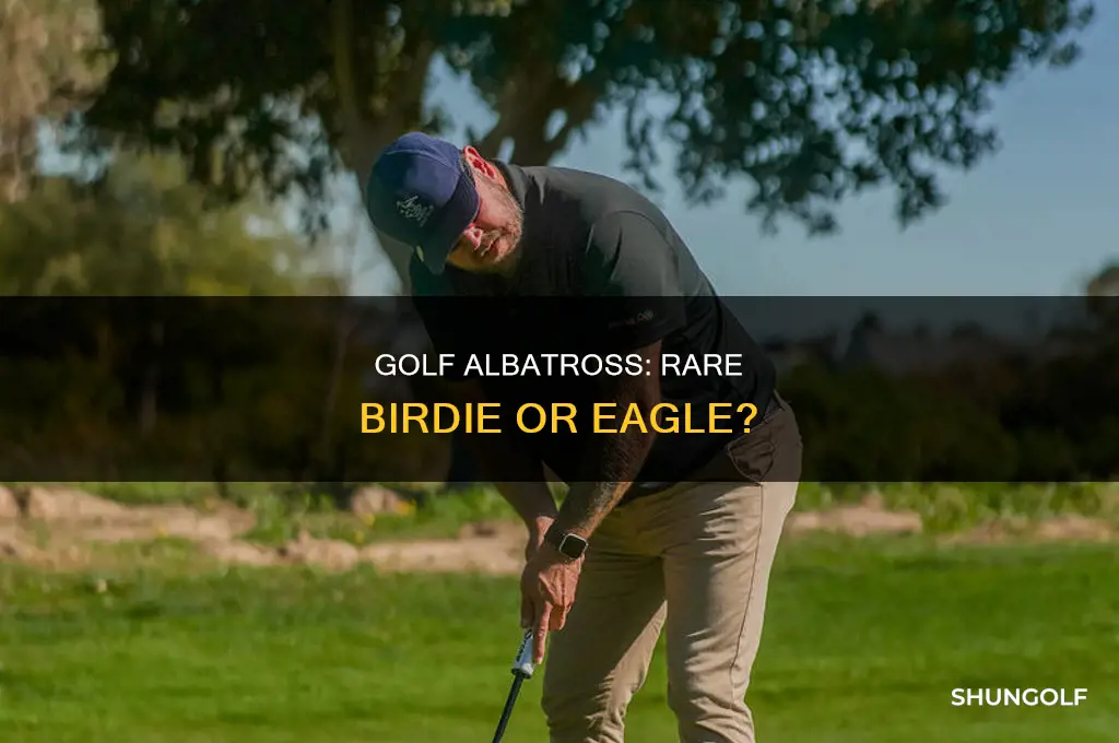 what is an albratrose in golf
