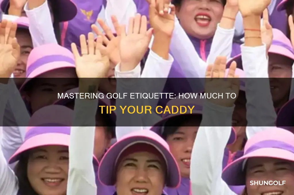 what is an appropriate tip for a golf caddy