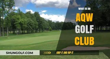 Understanding the AQW Golf Club: Features, Benefits, and Usage Guide