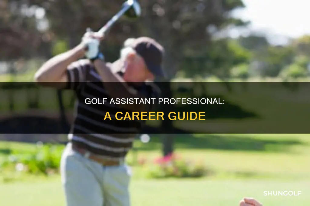 what is an assistant golf professional