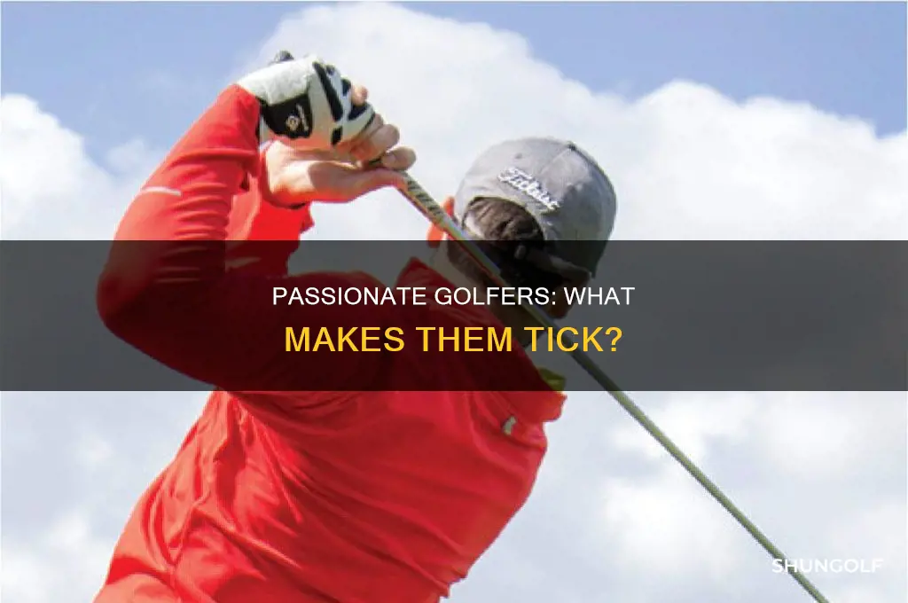 what is an avid golfer