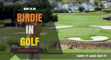 Golf Birdie Basics: How to Score Below Par
