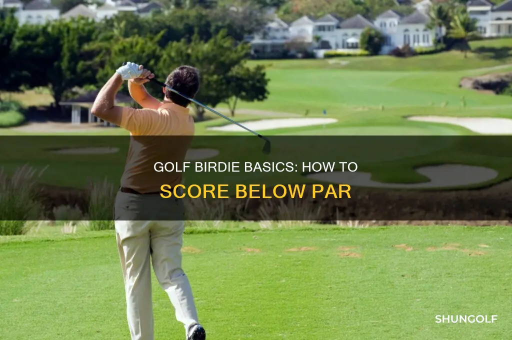what is an birdie in golf