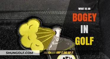 Golf Bogey Basics: How to Score and Win