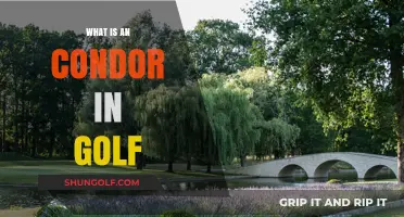 Golf's Condor: Rare Birdie