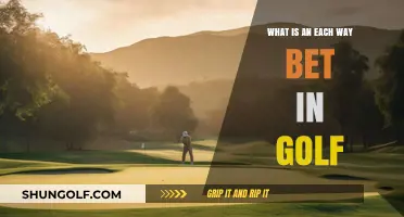 Understanding Each Way Golf Bets: A Beginner's Guide to Wagering
