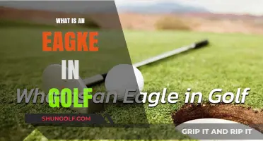 How to Score an Eagle in Golf