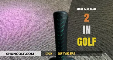 Understanding the Eagle 2: A Rare Golf Achievement Explained
