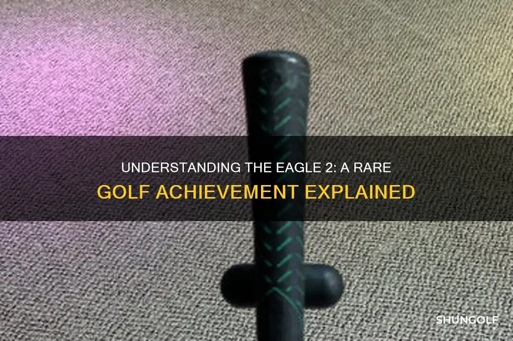 what is an eagle 2 in golf