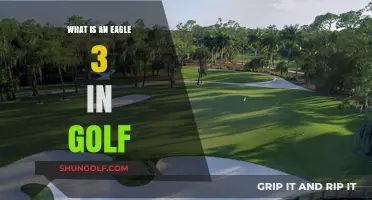 Understanding the Eagle 3 in Golf: A Comprehensive Guide
