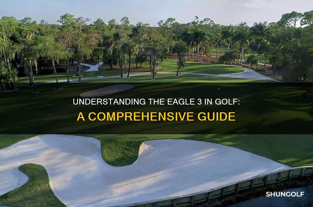 what is an eagle 3 in golf