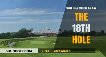 Eagle on the 18th: Golf's Dramatic Hole-Out Explained