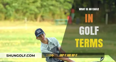 Understanding the Eagle: A Golf Scoring Term Explained Simply