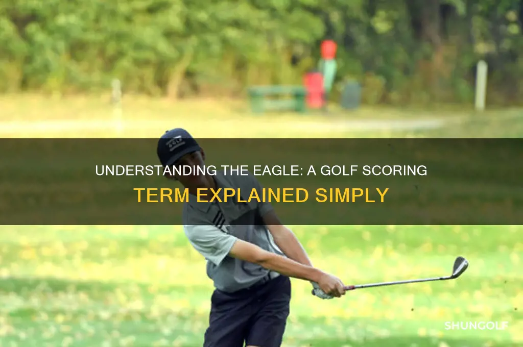 what is an eagle in golf terms