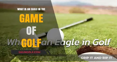 Understanding the Eagle: A Golf Scoring Term Explained Simply