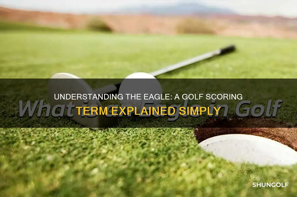 what is an eagle in the game of golf