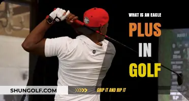 Understanding the Eagle Plus: Golf's Rare and Impressive Scoring Feat