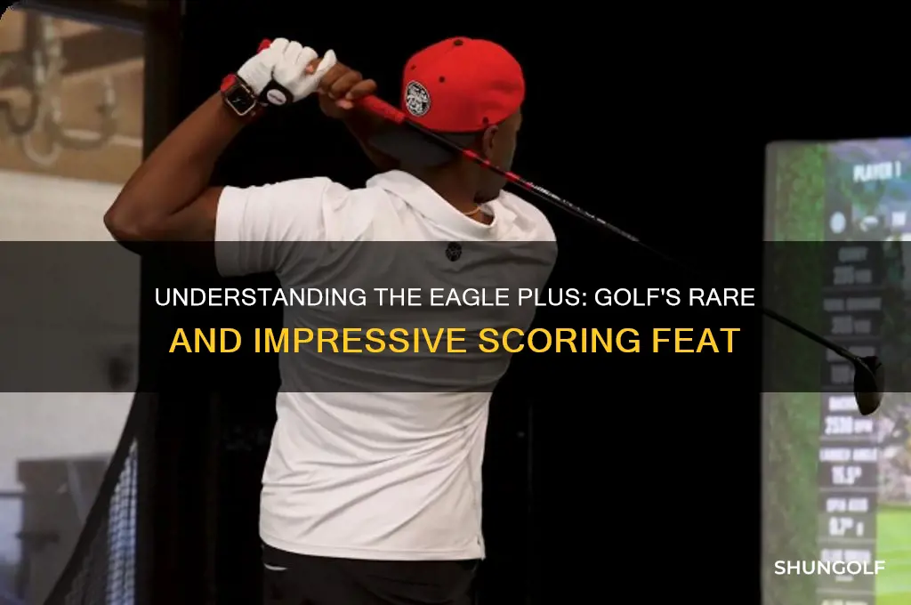 what is an eagle plus in golf
