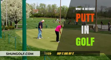 Mastering the Eagle Putt: A Golfer's Guide to Scoring Excellence