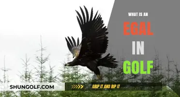 Golf's Egalitarian Approach: Understanding the Egal System