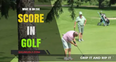 Understanding ESC Scores in Golf: A Beginner's Guide to Handicaps