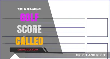 Mastering the Fairways: Understanding the Term for an Excellent Golf Score