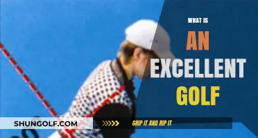 Golfing Excellence: The Perfect Swing and Beyond