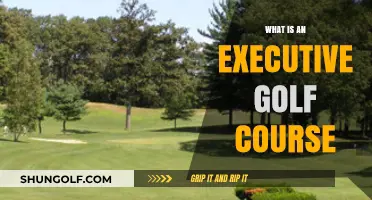 Exploring the Compact Charm of Executive Golf Courses