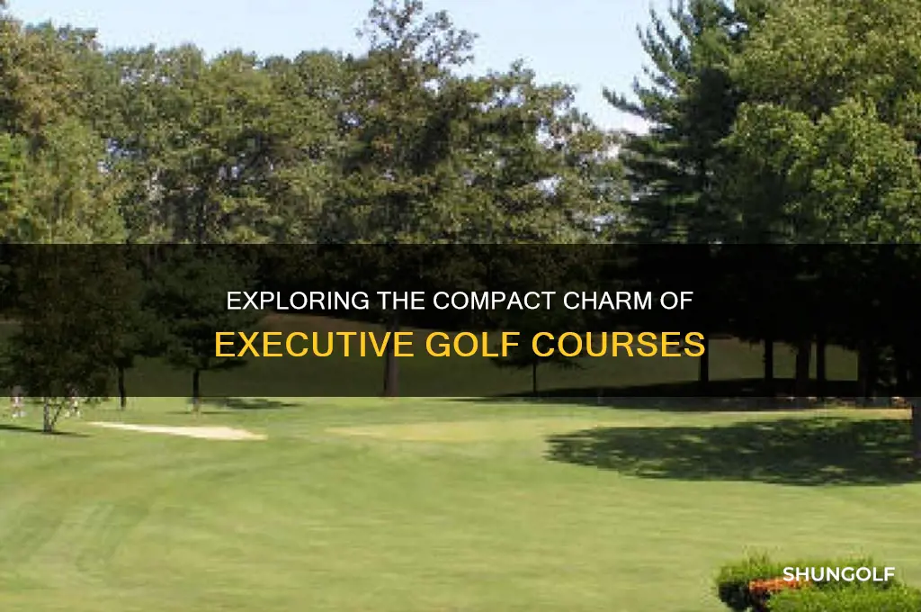 what is an executive golf course