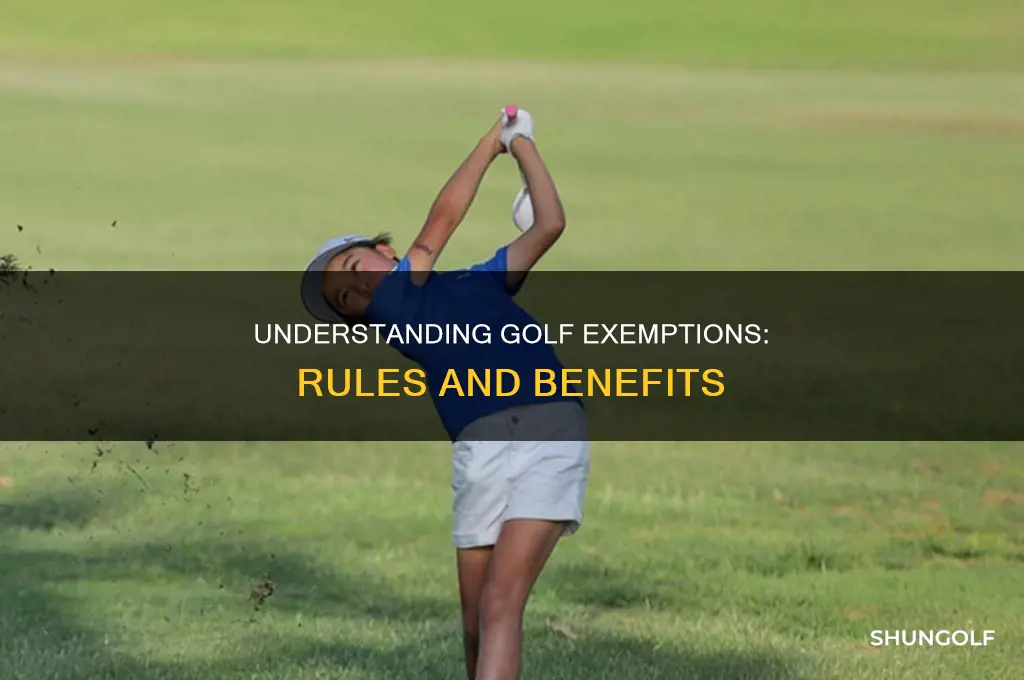 what is an exemption in golf