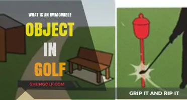 Understanding Golf's Immovable Object: Rules, Strategy, and Course Impact