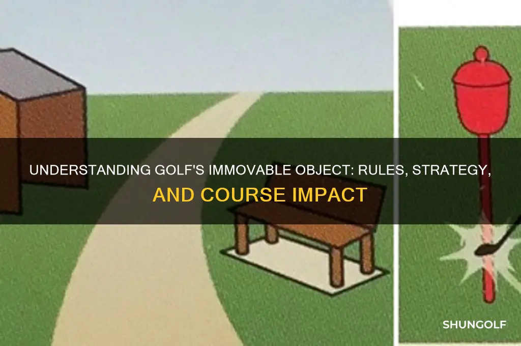 what is an immovable object in golf