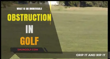 Understanding Immovable Obstructions in Golf: Rules and Strategies