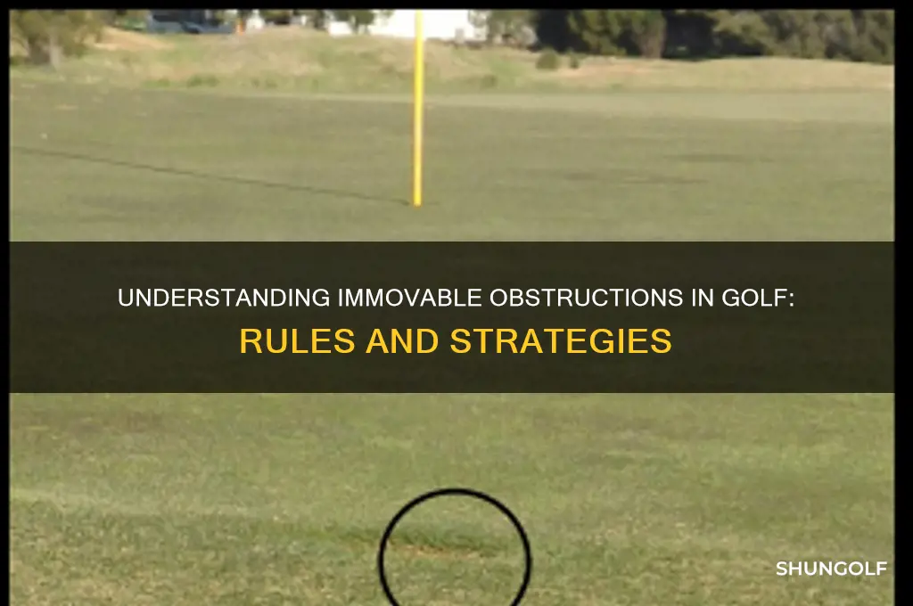 what is an immovable obstruction in golf